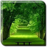 Destiny Life Path